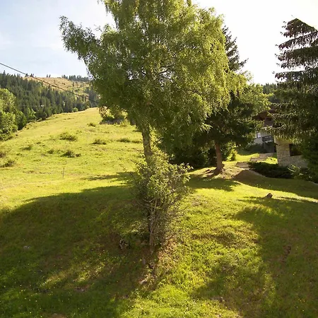 Accès Pistes, 3 Pièces, Animaux Acceptés, 6 Voyageurs - Fr-1-304-151 Appartement